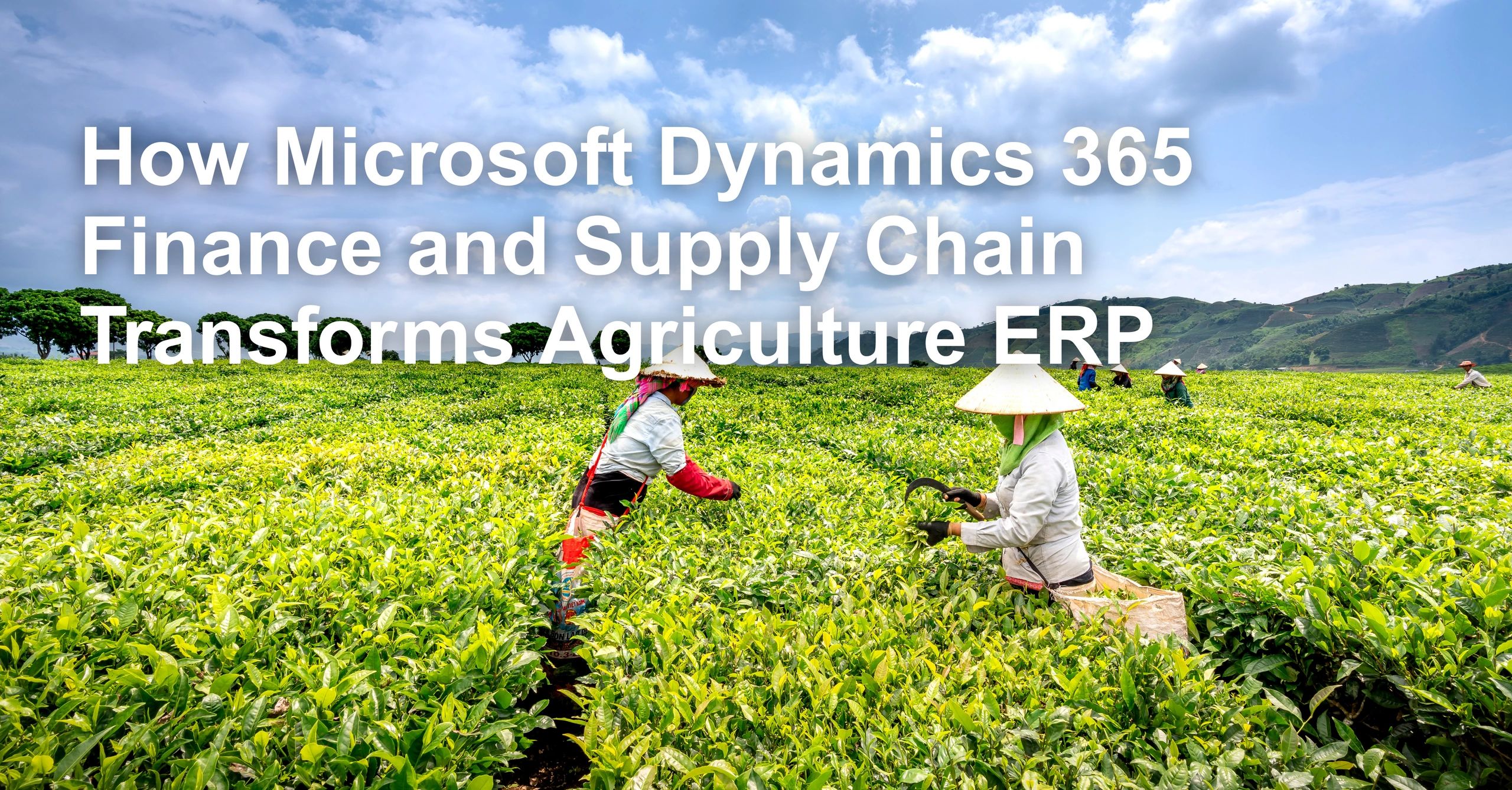 Transforming Agriculture ERP Dynamics 365 Finance & Supply Chain